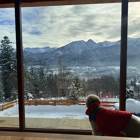 Salamandra Pearl * Kościelisko